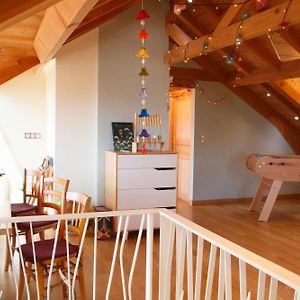 Colmar Friends And Familly Guest Home